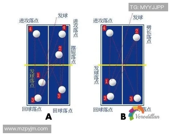 南京乒乓球队战术表现数据分析与提升策略探讨