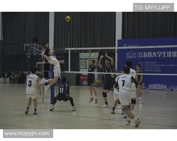 成都排球队防守策略揭秘深度解析排球技艺与团队协作 成都排球队防守策略揭秘深度解析排球技艺与团队协作