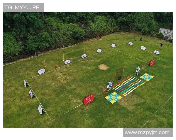 飞盘纪实:南京飞盘队的蜕变与成长之路全景记录 飞盘纪实:南京飞盘队的蜕变与成长之路全景记录