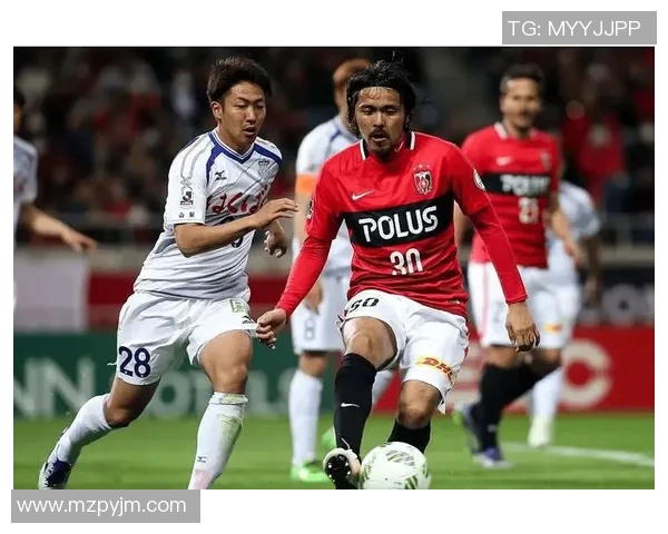 新泻天鹅迎战京都球队全力争胜展现实力与激情