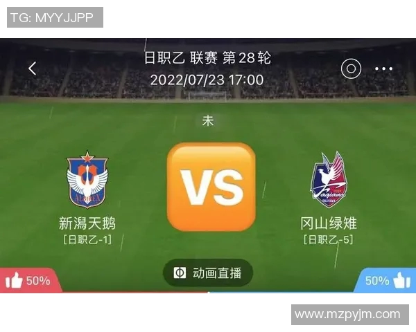 爱媛FC与大宫松鼠比赛前瞻分析及双方近期状态对比