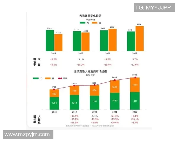 加维在足球场上的崛起之路与未来发展潜力分析