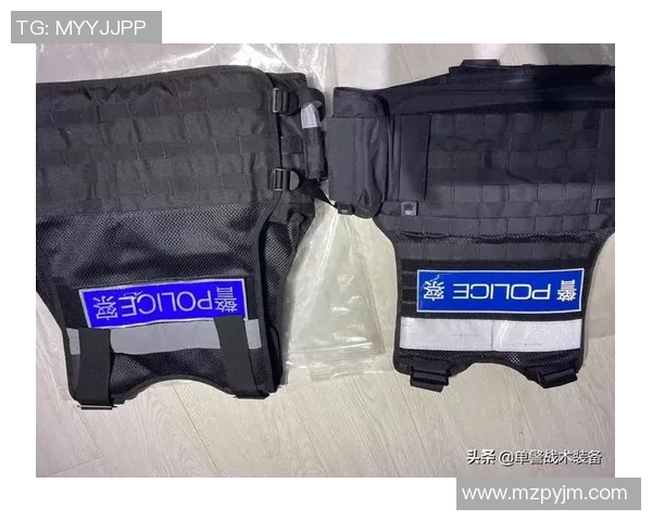 上海排球队防反战术革新探索与实践分析 上海排球队防反战术革新探索与实践分析