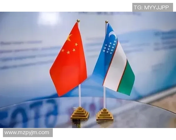 中国与乌兹别克斯坦视频对比分析探讨两国文化与经济发展差异