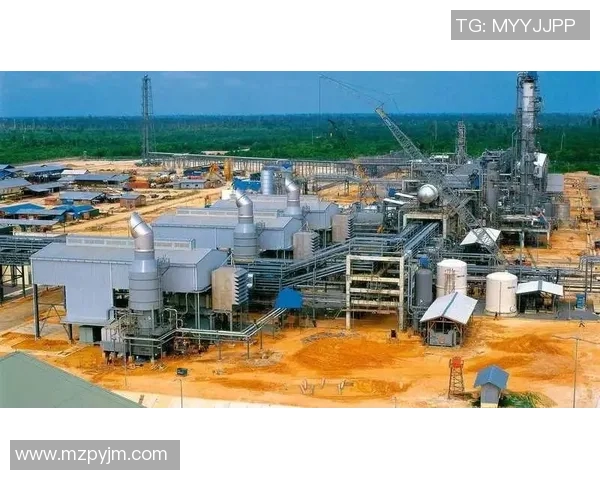 亚马尔地区的能源战略与全球市场的互动关系分析