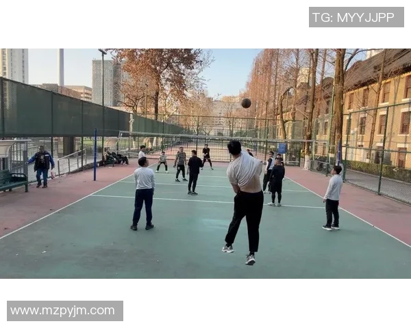 南京排球队加速转型引发热议新策略助力竞技水平提升