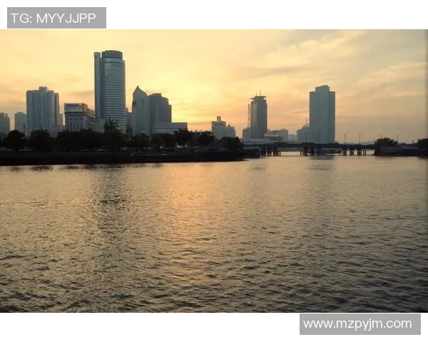 多伦多与休斯敦的城市魅力对比探讨生活方式与文化差异