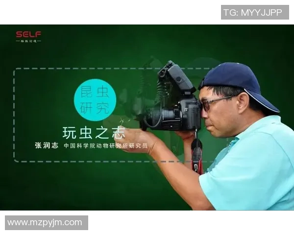 深圳网球队技术揭秘：网球巨献背后的训练与策略探讨