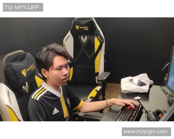 赛后分析：FPX与BLG在耐力对决中的策略与表现探讨