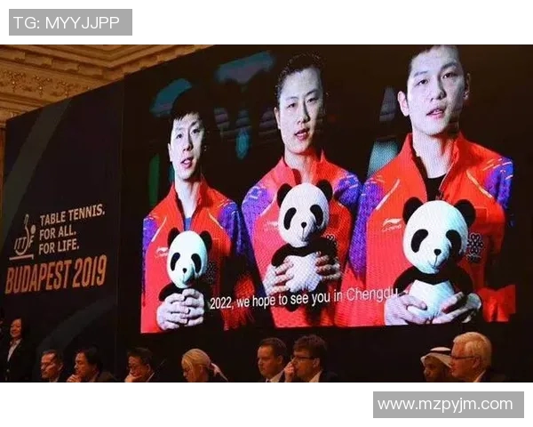 杭州网球队与成都网球队实力对比赛后分析与总结